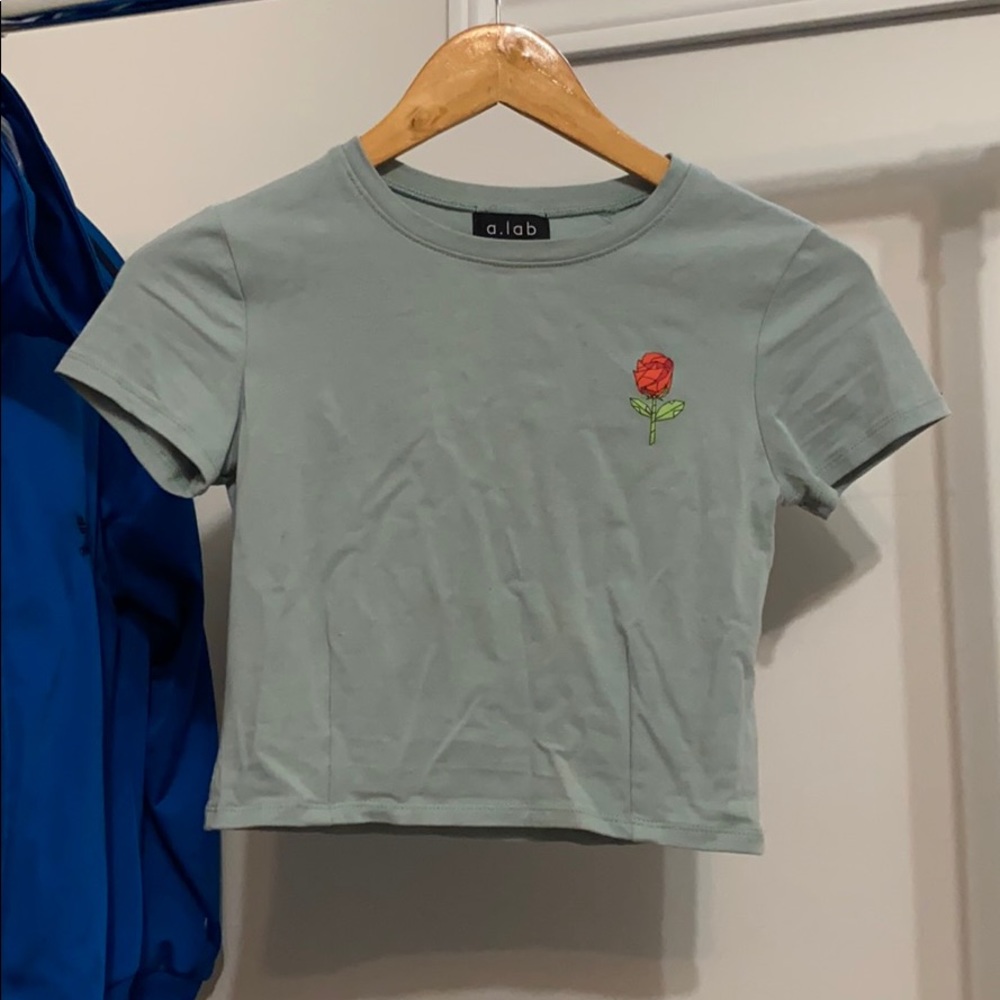 a. lab | Fitted Crop Top